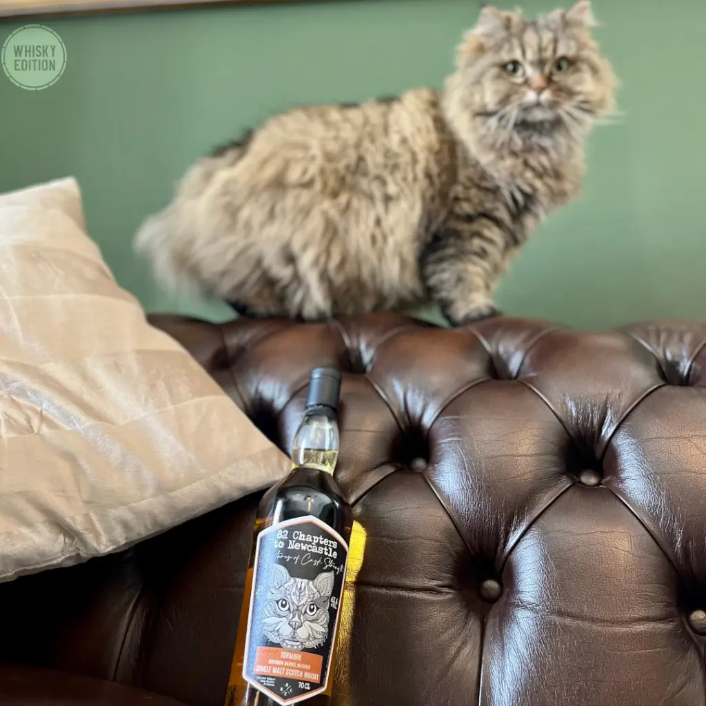 Tormore 14 Jahre - 82 Chapters to Newcastle