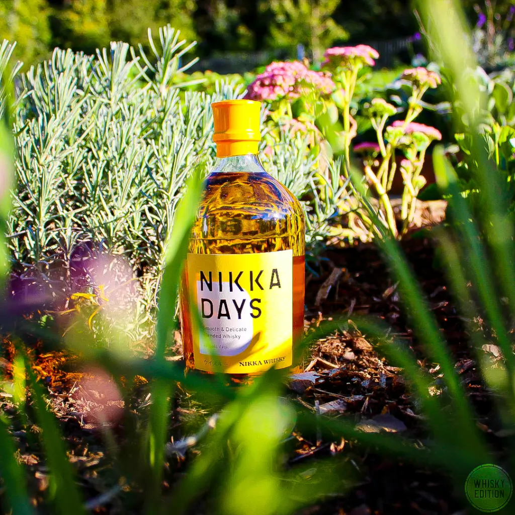 Nikka Days